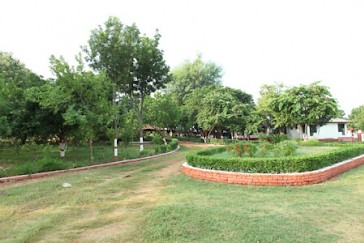 Campus View